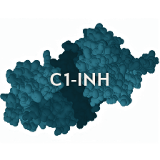 C1-INH.